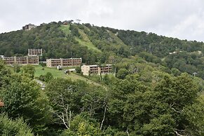 Sugar Ski & Country Club Unit 11-402 Bronze