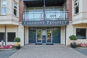 Caedmon's Prospect