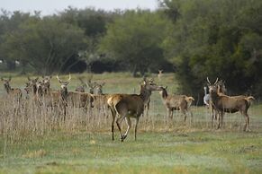 El Pantanal Nature Lodge