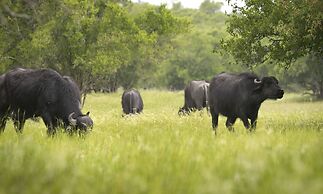 El Pantanal Nature Lodge