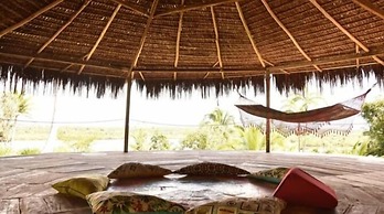 Art Jungle Eco Lodge