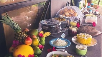 Art Jungle Eco Lodge