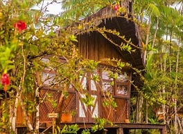 Art Jungle Eco Lodge