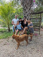 The Blue Eco Lodge - Adults only