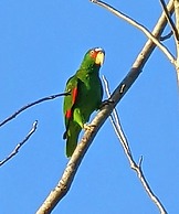 The Blue Eco Lodge - Adults only