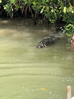 The Blue Eco Lodge - Adults only