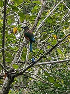 The Blue Eco Lodge - Adults only