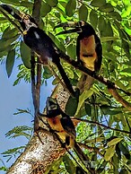 The Blue Eco Lodge - Adults only