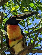 The Blue Eco Lodge - Adults only