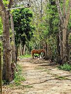 The Blue Eco Lodge - Adults only