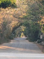 The Blue Eco Lodge - Adults only