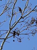 The Blue Eco Lodge - Adults only