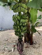 The Blue Eco Lodge - Adults only