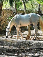 The Blue Eco Lodge - Adults only
