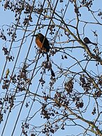 The Blue Eco Lodge - Adults only