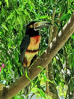 The Blue Eco Lodge - Adults only