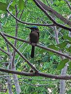 The Blue Eco Lodge - Adults only