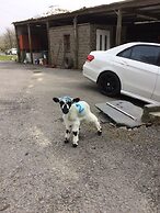 The Canteen Beautiful 1-bed Apartment in Keswick
