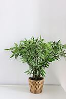 PS House Kimolos - PS Rental