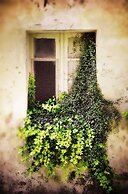 De Ajala - Family B&B de Charme