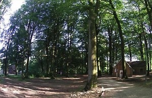 Etape en forêt