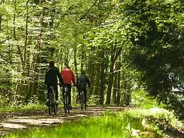 Etape en forêt