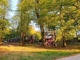 Etape en forêt