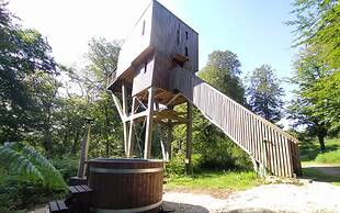 Etape en forêt