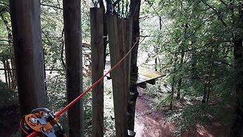 Etape en forêt