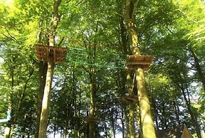 Etape en forêt
