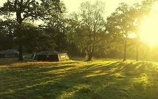 Etape en forêt