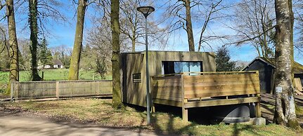 Etape en forêt