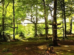 Etape en forêt