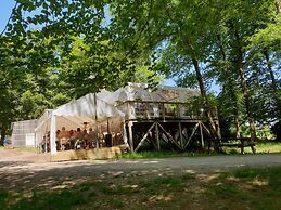 Etape en forêt
