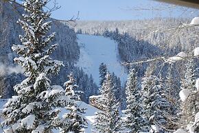 Chateaux Dumont by Summit County Mountain Retreats