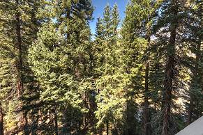 Lone Eagle by Summit County Mountain Retreats