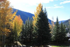 Lodgepole #2008
