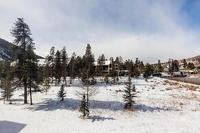 Lodgepole #2008