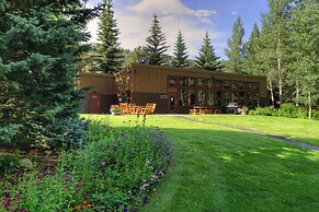 Lodgepole #2008