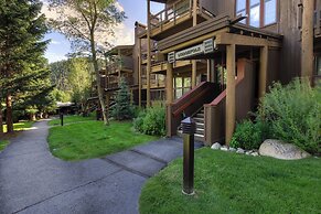 Lodgepole #2008