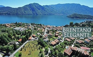 Brentano Elegante
