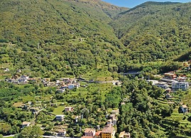 Riva Bellano Camelia 1