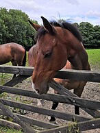 Captivating Isolde Cottage, With Pool Near St Ives