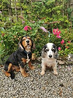 Captivating Isolde Cottage, With Pool Near St Ives
