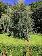 Captivating Isolde Cottage, With Pool Near St Ives