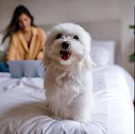 #15 At Bloomington Country Club 4 Bedroom Townhouse by RedAwning