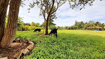 Avadale Masinagudi - Stag Groups Not Allowed