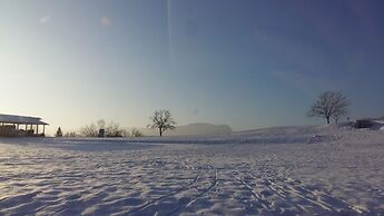 eco boutique hotel A.M.S. Beagle Bled