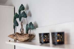 Kirschgarten 9 - Seestern