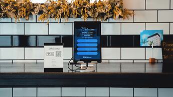 BLUE STEAK WONDER CHATAN